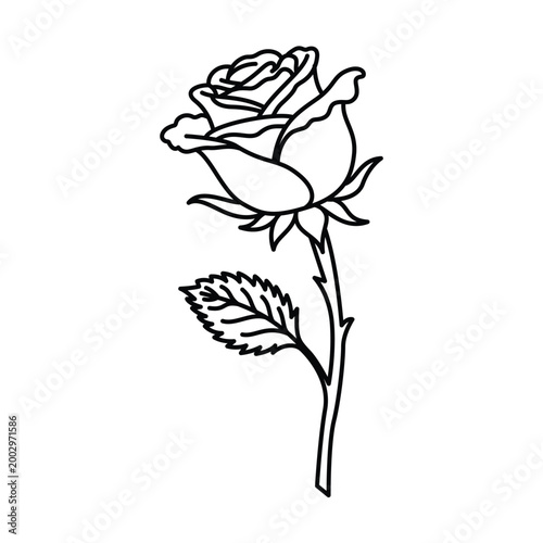 Side View Rose Outline Vector Elegant Floral Line Art with Stem Isolated on White Background