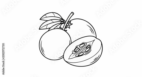 Stylized line art drawing of two whole and one halved juicy fruits with leaves