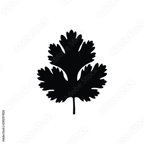 Coriander leaf silhouette icon vector flat design.