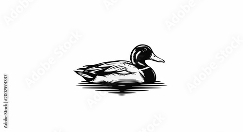 Stylized black and white illustration of a mallard duck floating on water