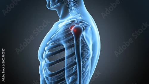 Human skeleton shoulder joint pain highlighting health, vitality, and medical science