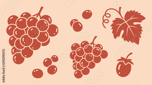 Set of grape bunches with leaf and berries vector illustration in flat design style isolated on peach background
