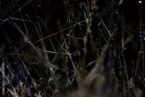 Photos Aegirine mineral crystals in two formations green acicular needles and black pri