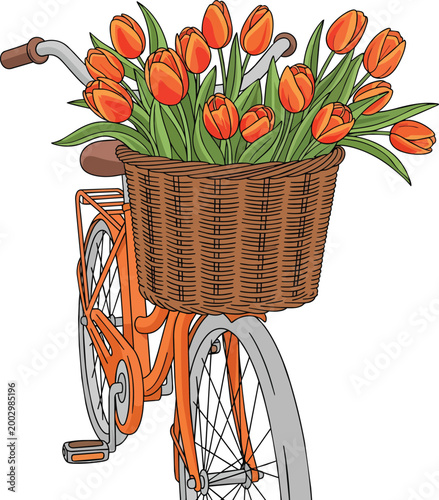 Vintage Orange Bicycle with Wicker Basket and Orange Tulips Bouquet