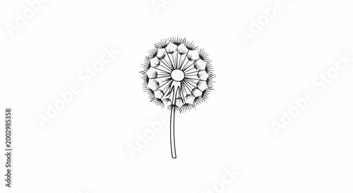 Black and white sketch of a delicate dandelion seed head on a plain white background