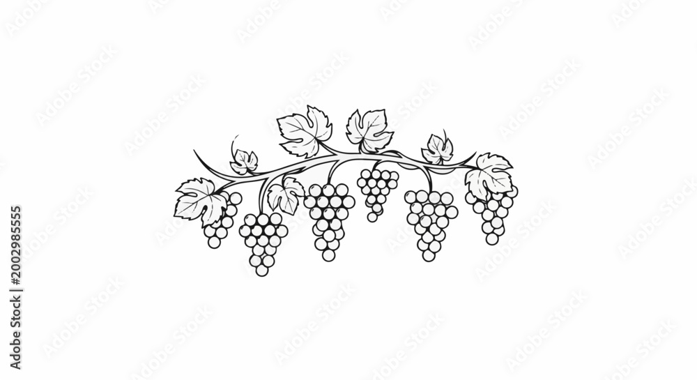 Obraz premium Stylized depiction of grapevines with clusters and leaves