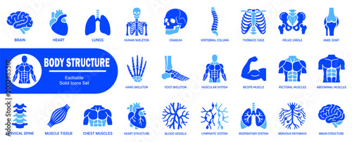 Foto Comprehensive set of human body structure icons featuring internal organs skeletal system muscular anatomy and medical symbols for healthcare education
