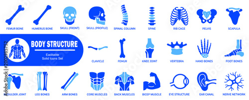Valokuva Detailed anatomy and skeleton icon set depicting human bones joints skull muscles and biological structures for medical research or educational tools