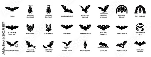 Bat species and animal behavior solid icon set. Features flying, hanging, sleeping, resting, cave dwelling, and hunting silhouettes with text labels. Solid vector glyph graphics.