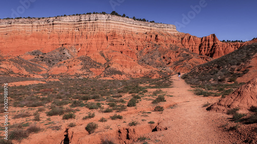 Desierto rojo Teruel