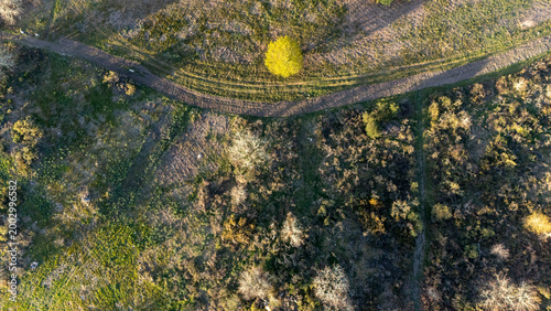 Winding dirt road through rural galician landscape