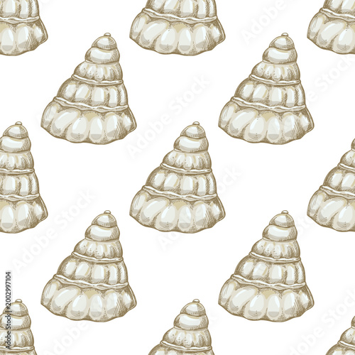 Hand drawn vintage seamless pattern of sea shell engraving colored beige marine mollusk spiral illustration