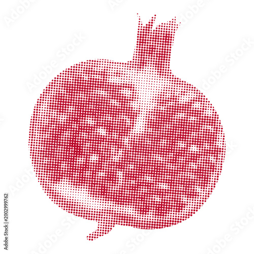 pomegranate fruit with photocopy effects. halftone vector