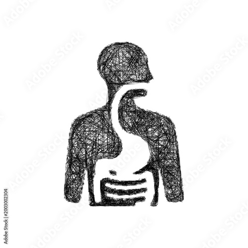 Sketch digestive system icon design