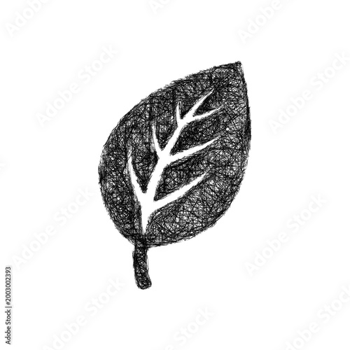 Sketch leaf structure icon design