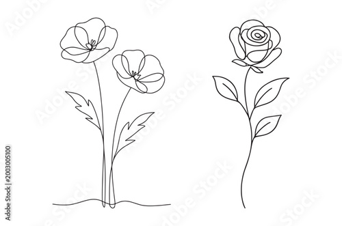 Minimalist line art depicting a poppy and a rose in bloom