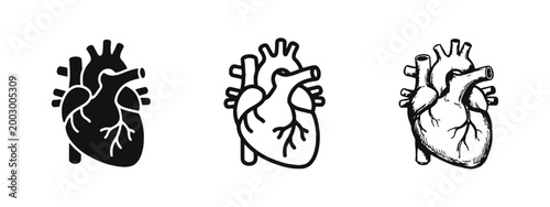 Human Heart Anatomical Icon Set - Solid, Outline, and Hand-Drawn Sketch Styles