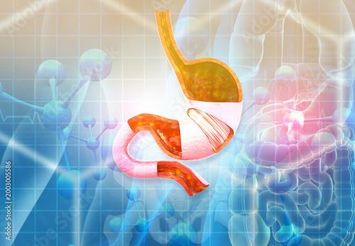 Quadro su tela Detailed 3D human stomach anatomy with esophagus and duodenum on a blue abstract scientific background