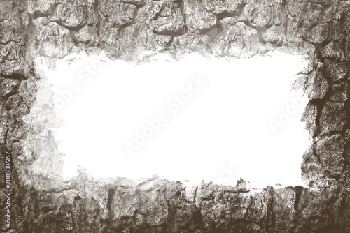 Vintage style sepia tree bark frame with white copy space, abstract natural wooden border PNG