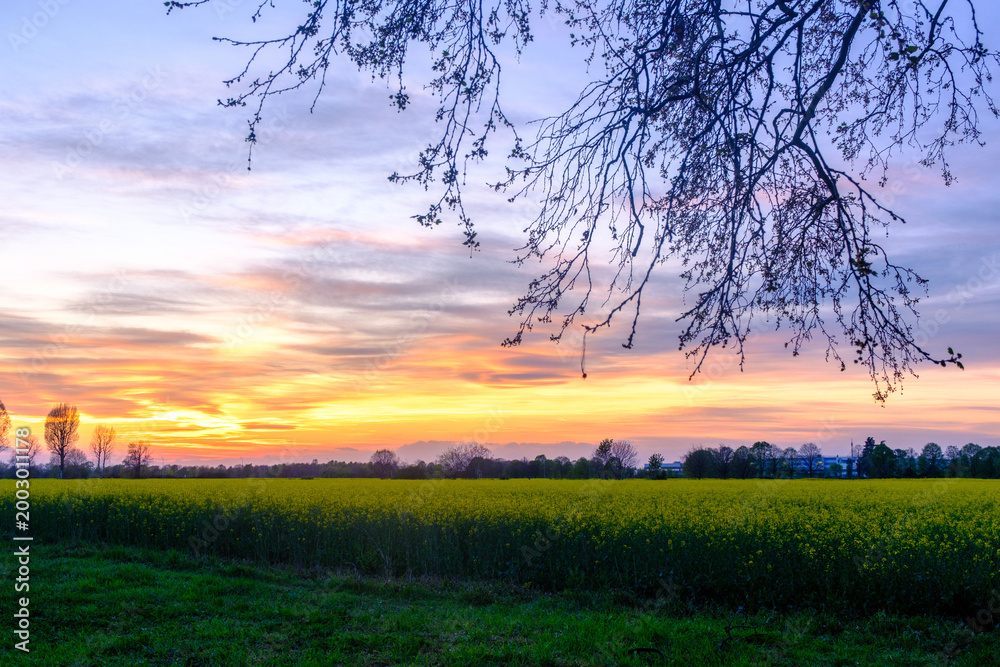 Fototapeta premium Country landscape near Cinisello Balsamo, Milan province, Italy, in a springtime evening