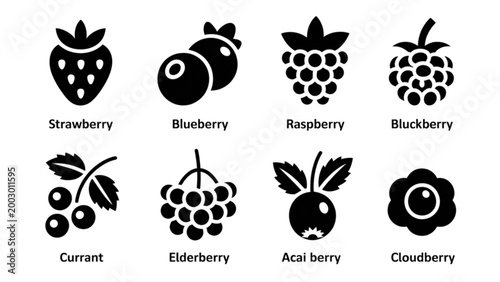 Set of six black and white fruit icons with labels for web and app design Vector
