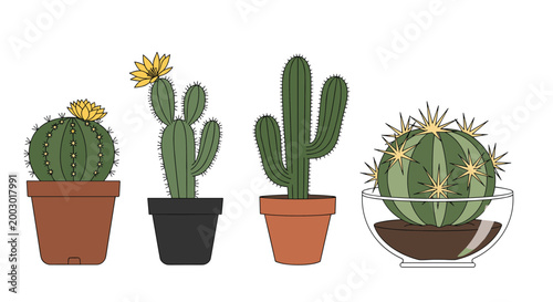 Collection of four different types of desert cacti planted in various ceramic pots and a glass terrarium bowl on a white ground.