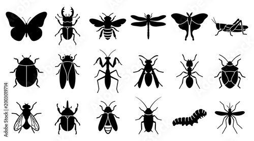 Collection of Black Insect Silhouettes Diverse Arthropod Icons Representing Nature and Entomology