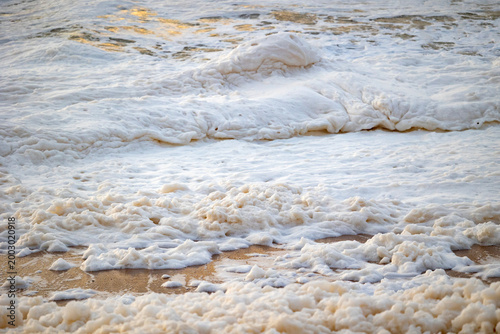 Konstfotografi Sea foam covering sandy beach with soft bubbly texture and gentle wave patterns