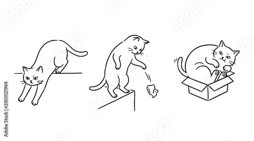 Curious cat exploring and having fun with objects.