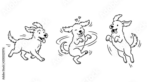 Happy dog joyfully running in circles image