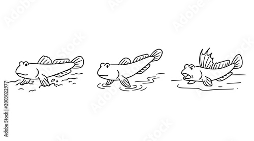 Mudskippers Walking on Land in Unique Environment