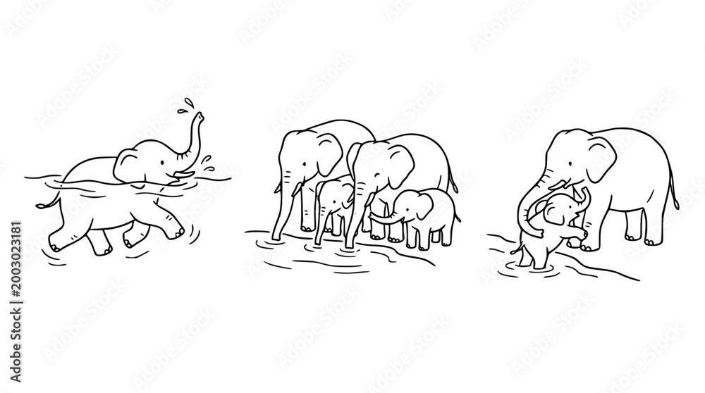 Fototapeta premium Family of Elephants Enjoying a Water Activity