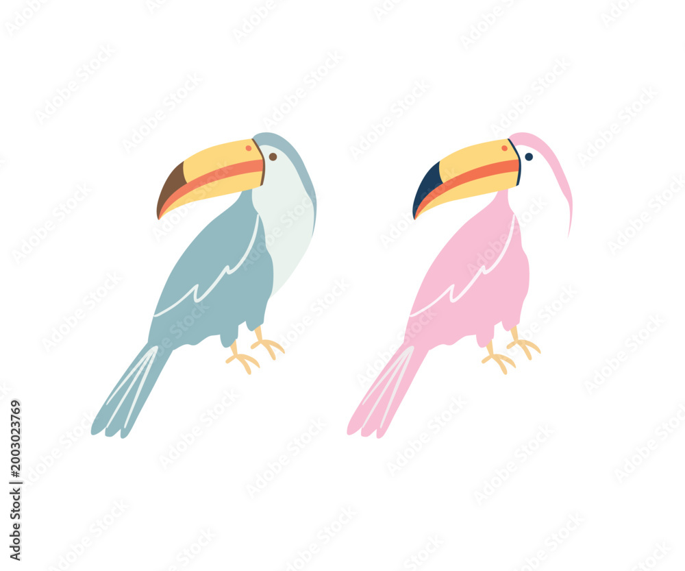 Fototapeta premium Cute toucan birds vector illustration in Modern Flat Minimalist Style, modern minimal tropical animals