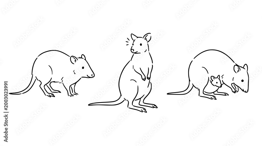 Fototapeta premium Expressive Rodent Characters in Playful Scenes