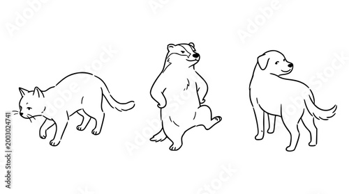 Wandering cat and playful puppy in delightful scene