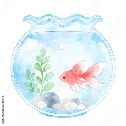 かわいい金魚鉢　水彩風イラスト