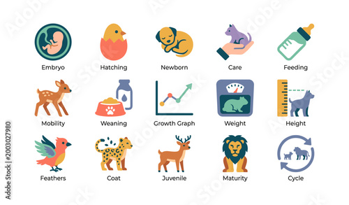 Animal growth and species icons arranged in grid on white background