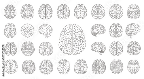 Comprehensive set of illustrative brain diagrams showing anatomy, hemispheres, and neural structures.