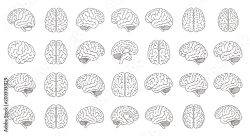 Patterned Series of Brain Illustrations Displaying Repeated Cerebral Silhouettes for Scientific Visuals.