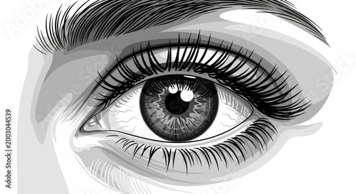 Detailed illustration of a human eye.