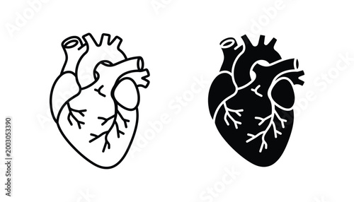 Human heart anatomical illustration in outline and solid silhouette forms isolated on white background for medical and health concepts