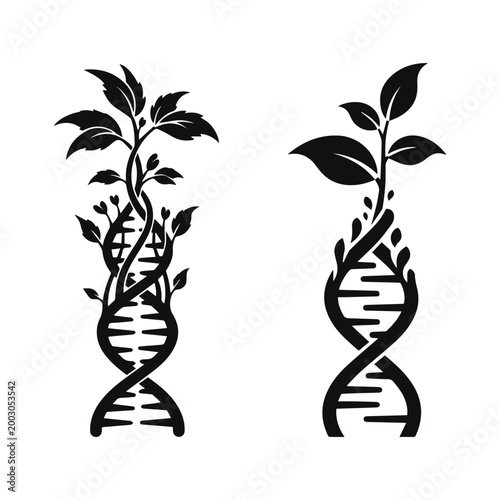 Minimalist black DNA helix transforming into a growing plant for biotechnology silhouette vector icon