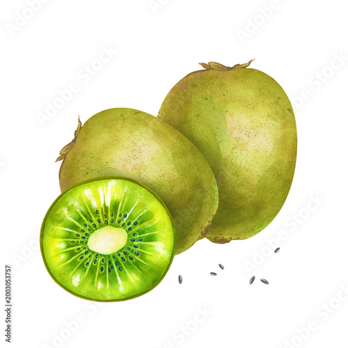 Botanical watercolor illustration with a group of whole kiwi fruits and a vibrant cross-section slice. The composition is isolated on a white background, ideal for organic food packaging, juice labels