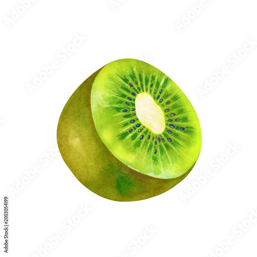 Botanical watercolor painting with a single kiwi fruit cut in half. This hand-painted element is isolated on a white background, making it suitable for high-end culinary branding, organic product