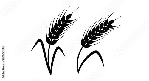 Wheat stalks silhouette against a white background silhouette high quality