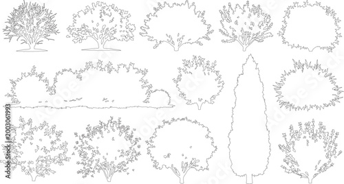 Minimalist tree line art collection, set of 13 botanical plant sketches, thin black outline garden bushes and shrubs for landscape architecture design