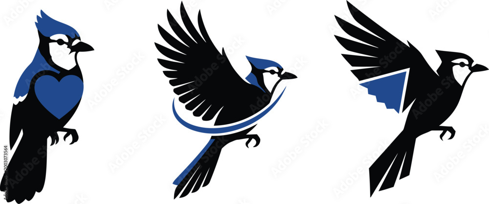 Fototapeta premium Blue jay bird in different poses minimalist illustration for sports team Isolated on white background
