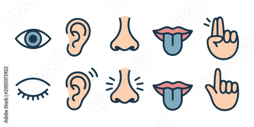 Set of human sensory perception icons including eye ear nose tongue and hand for five senses concept design.