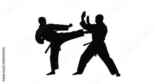 Karate practitioners silhouette performing a kick and block