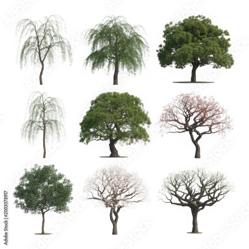 Collection of various green trees and flowering trees in different shapes and sizes isolated on transparent background